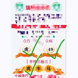 澳门最准资料免费公开,数据解释落实_整合版121,127.13